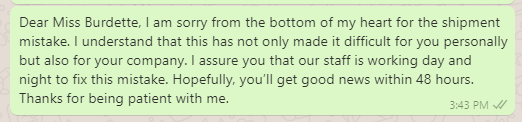 Apology message to company for mistake